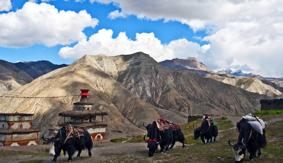 10 Fascinating Facts About Dolpa, Nepal You Need to Know Before You Visit